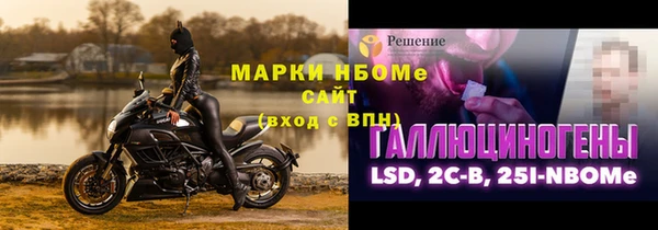 шишки Верхний Тагил