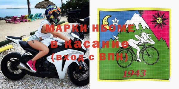 стаф Верея