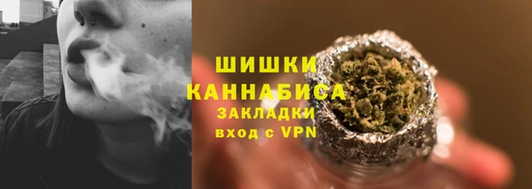 стаф Верея