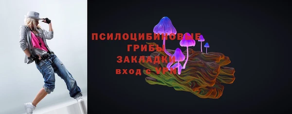 крисы Володарск