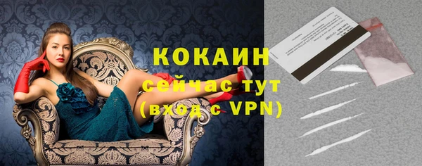 шишки Верхний Тагил