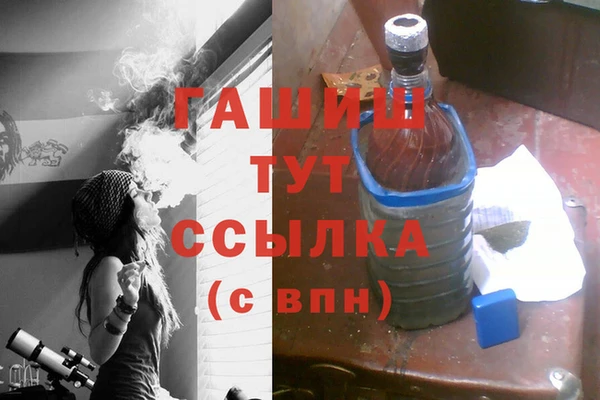 стаф Верея
