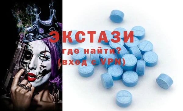 стаф Верея