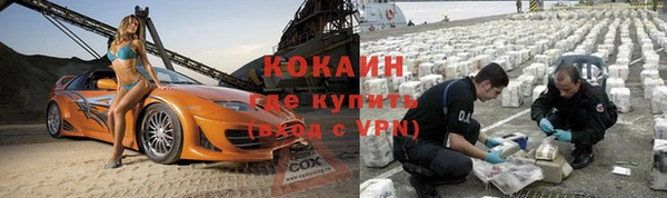 шишки Волоколамск