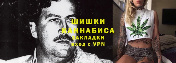 стаф Верея