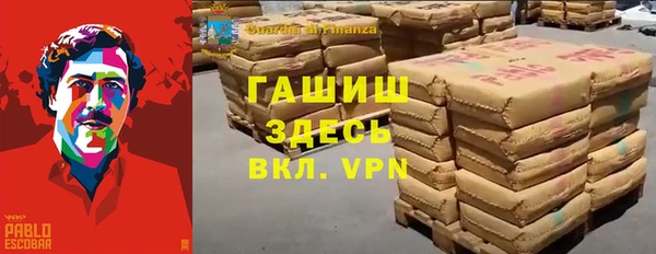 стаф Верея