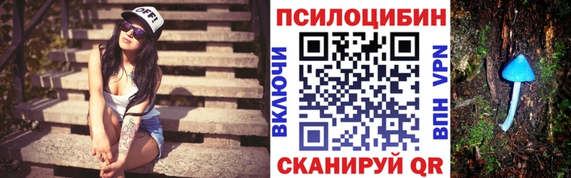 Купить где  Весьегонск  Псилоцибиновые грибы GOLDEN TEACHER 